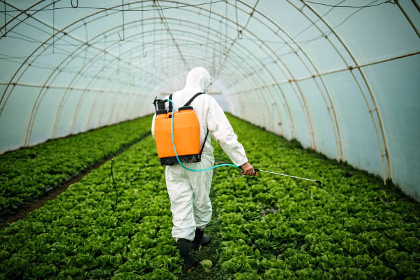 Best Pest Prevention Services  in Combes, TX